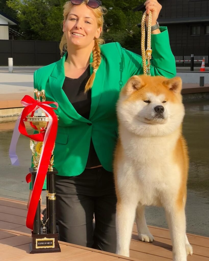 Akita is winning tournament