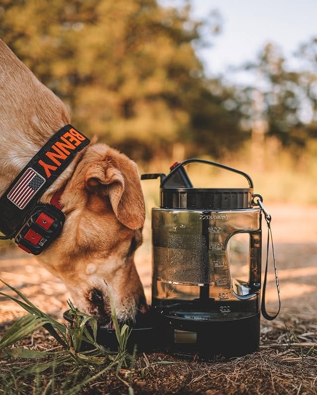 Close-up of a dog’s mouth lapping up water from a metal bowl