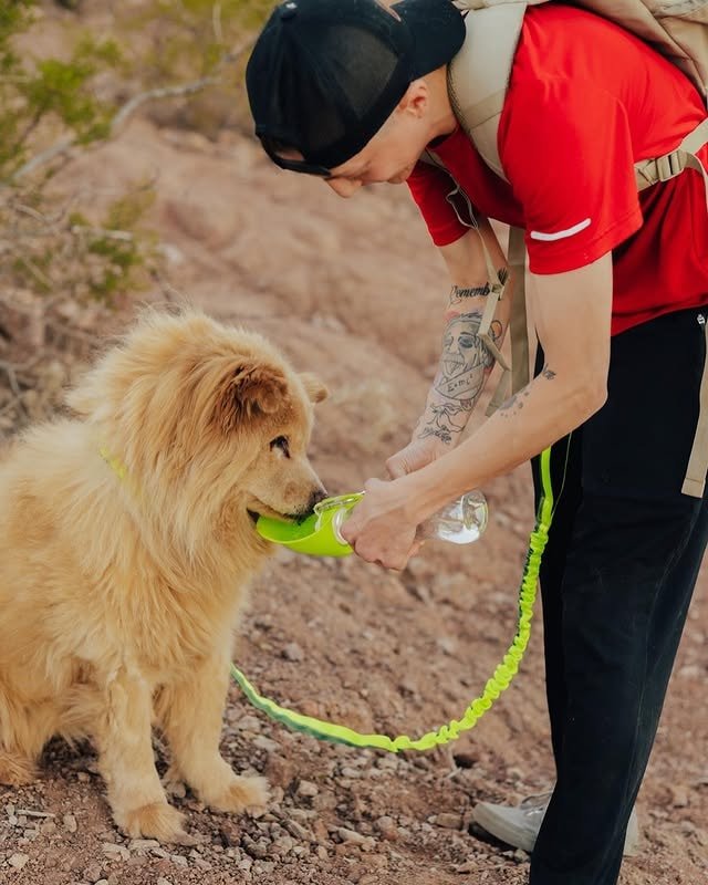 Person feeding a water bottle to a fluffy golden dog