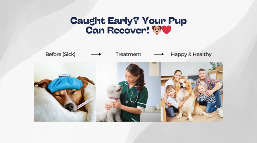 Caught early Your Pup Can Recover