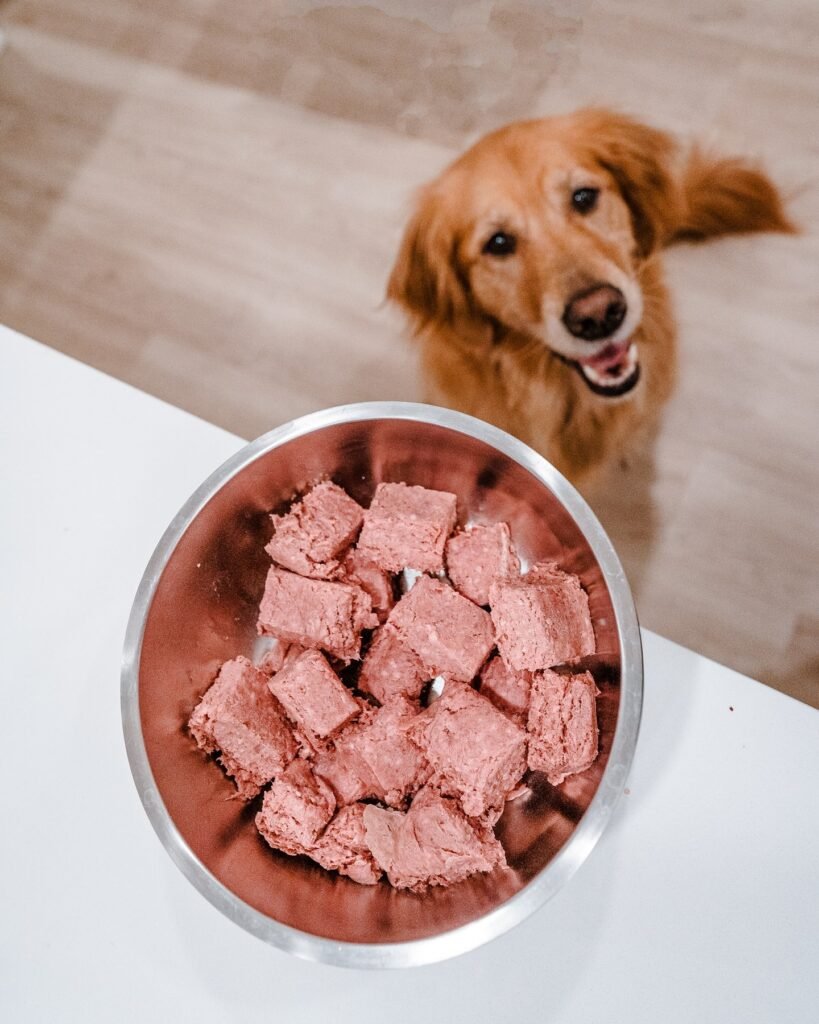 Commercial formulas have played a major role in canine nutrition