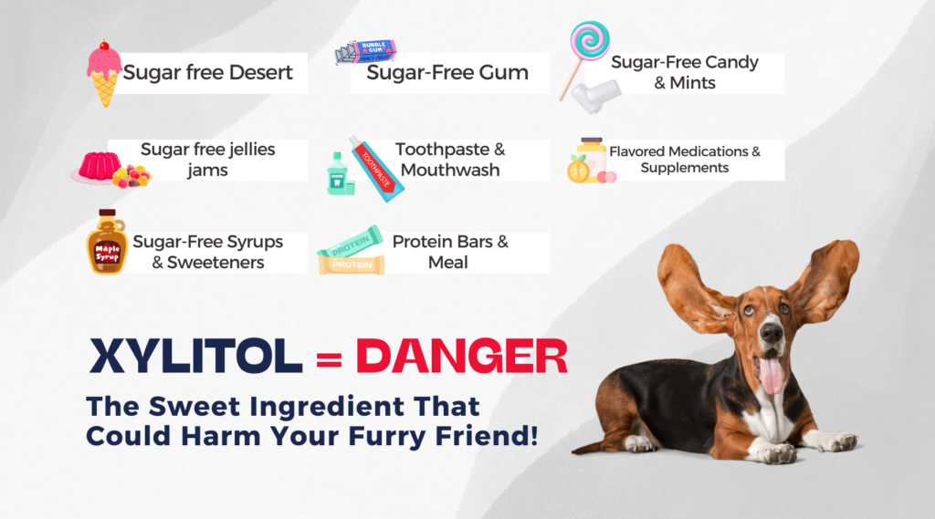 Common Products Containing Xylitol