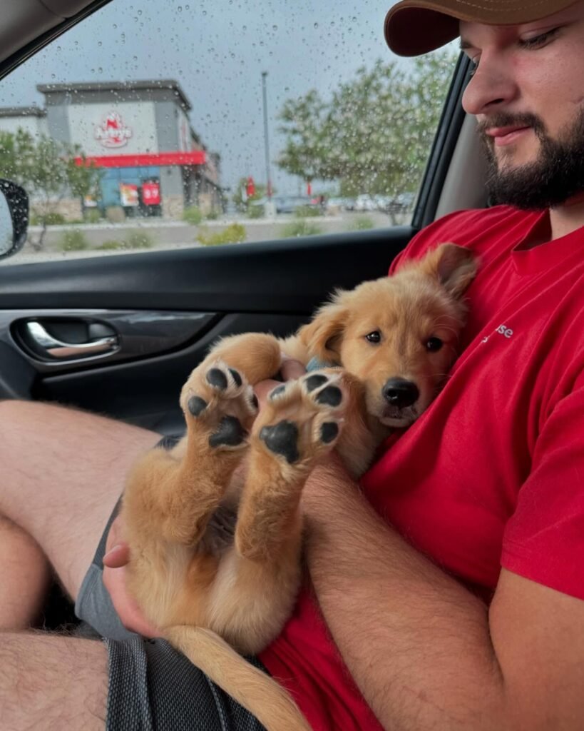 Man holding a golden puppy in a car on a rainy day