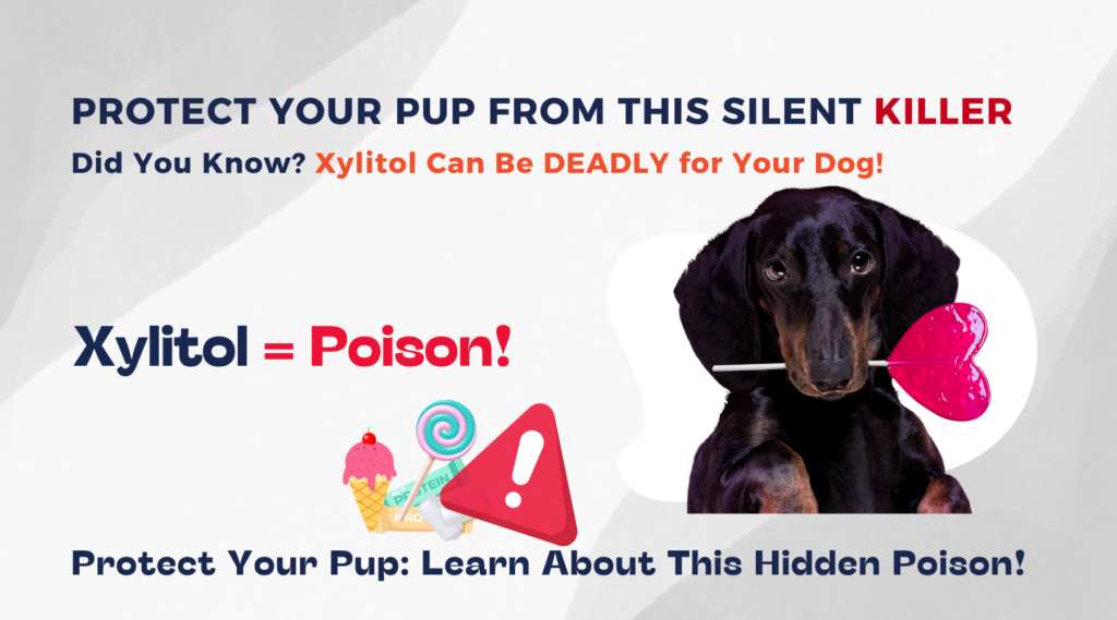 Protect your pup from this silent killer