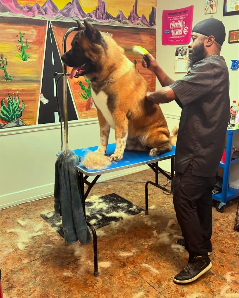 Regular brushing helps capture loose fur before it scatters over floors and furniture